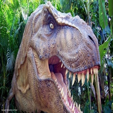 Herramientas de gestión del conocimiento para la innovación en marketing