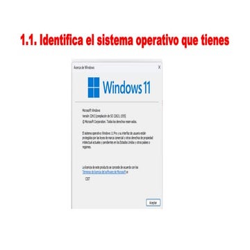 HERRAMIENTAS TECNOLOGICA.pptx