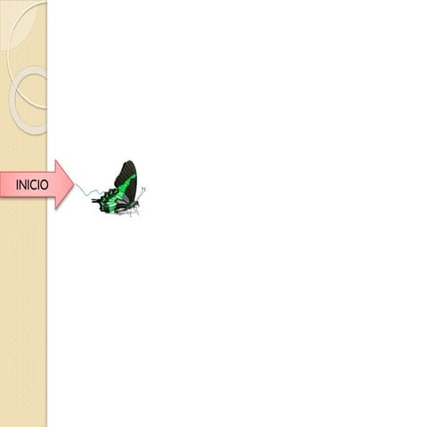 Herramientas colaborativas de la web 2.0 y su uso en el sistema educativo