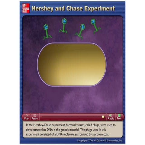 Experimento de Hershey y Chase PPT