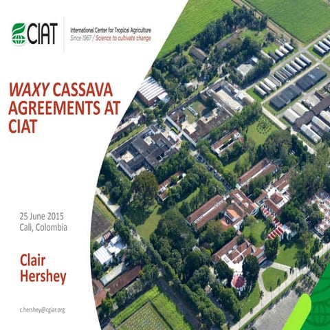 WAXY CASSAVA AGREEMENTS AT CIAT
