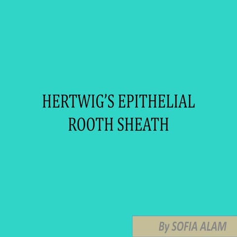 HERTWIG’S EPITHELIAL ROOTH SHEATH