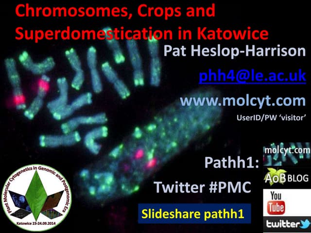 Plant Molecular Cytogenetics - Post...