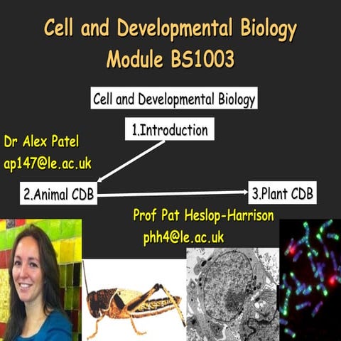 Biology: First lecture for Cell and Developmental Biology #bs1003 bs1003 Leic...