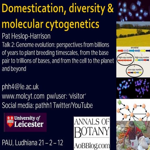 Domestication, Diversity and Molecular Cytogenetics Pat Heslop-Harrison