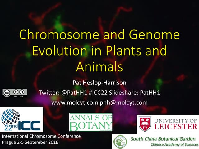 Genome Evolution Chromosomes Heslop-Harrison ICC Prague