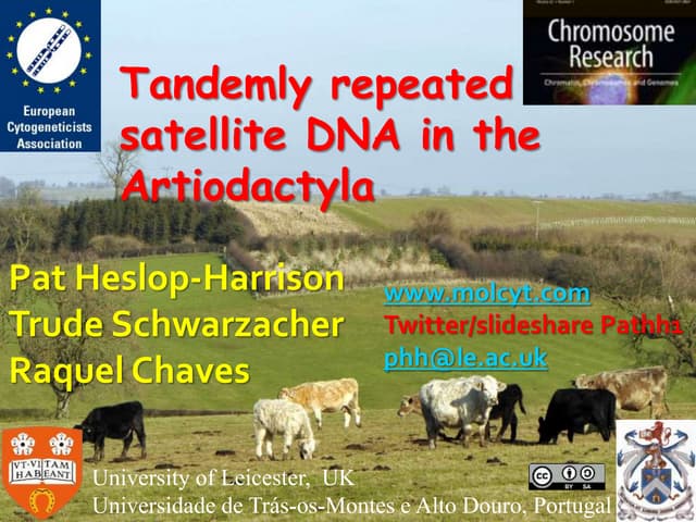Tandem Repeats and Satellite DNA in Bovideae - Colloquium on Animal Cytogenetics