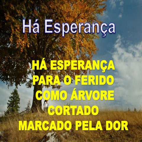 Há esperança para os feridos | PPTX