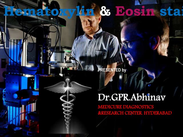 Hematoxylin and eosin staining .                                             ...