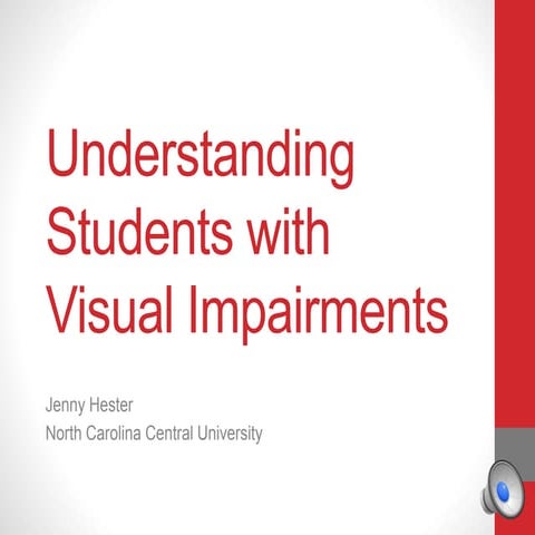 Understanding Visually Impaired Students