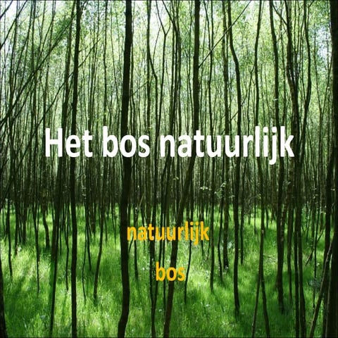Het bos natuurlijk