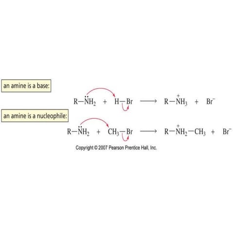 Heterocyclic Ppt