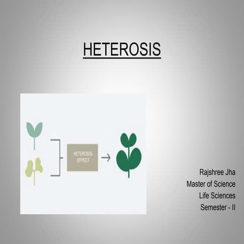 Heterosis
