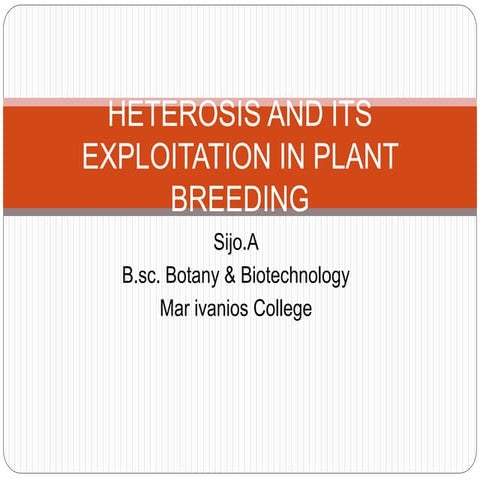 Heterosis and its exploitation in plant breeding