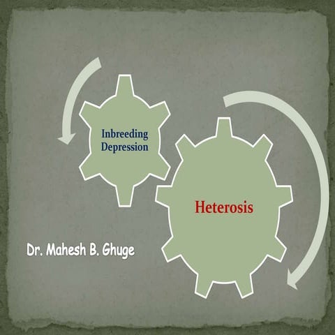 Heterosis breeding - Dr. Mahesh B. Ghuge