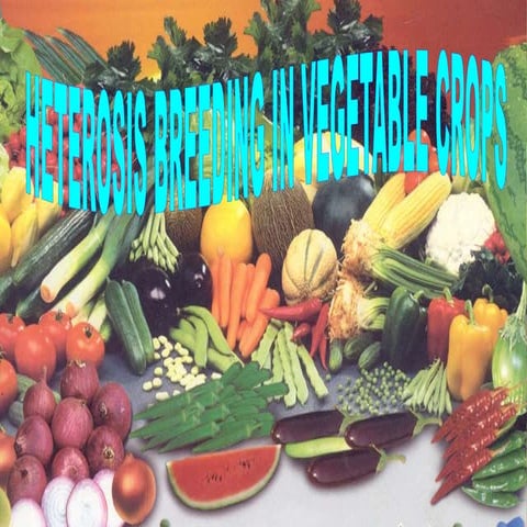 Heterosis breeding in vegetables