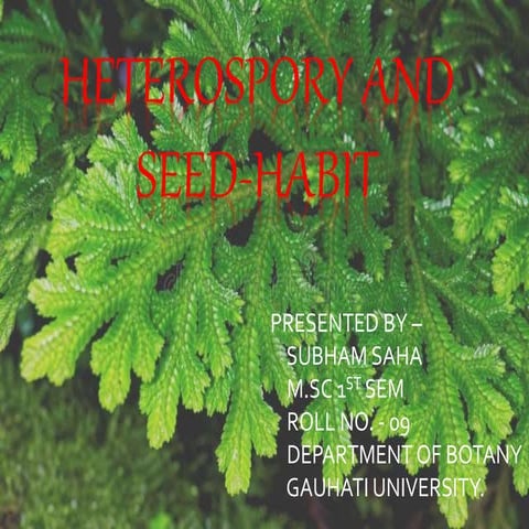 HETEROSPORY and SEED HABIT.pptx