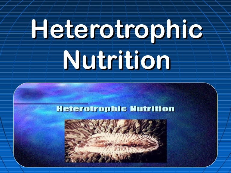 Heterotrophic nutrition
