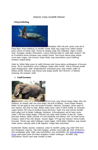 Tumbuhan dan binatang langka yang hampir punah | PPTX