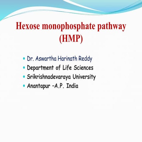 Hexose monophosphate pathway (HMP)