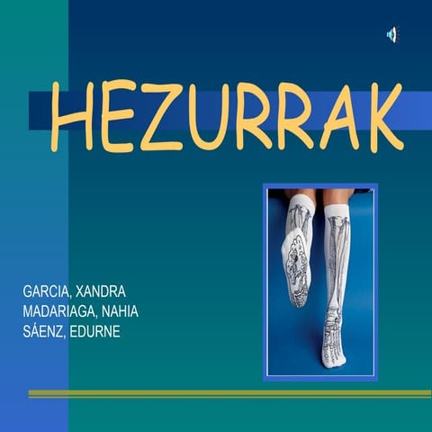 Hezurrak