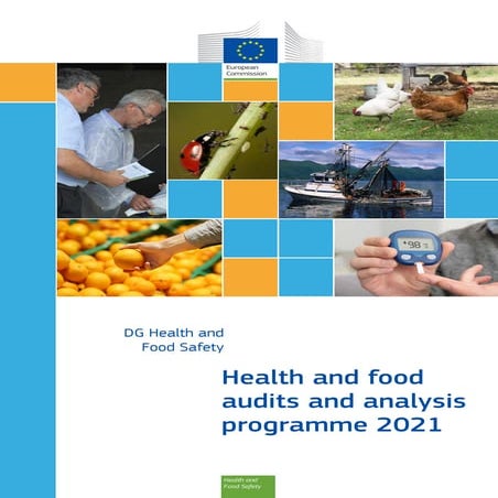 Hfaa prog en_2021 | PDF