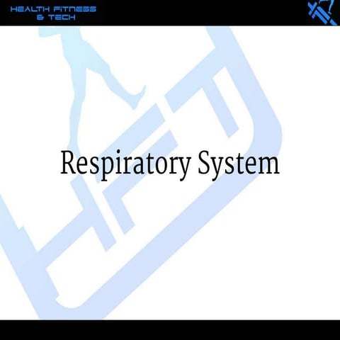 Hft   respiratory system