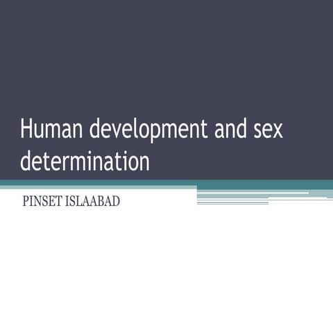 Human development and sex determination 