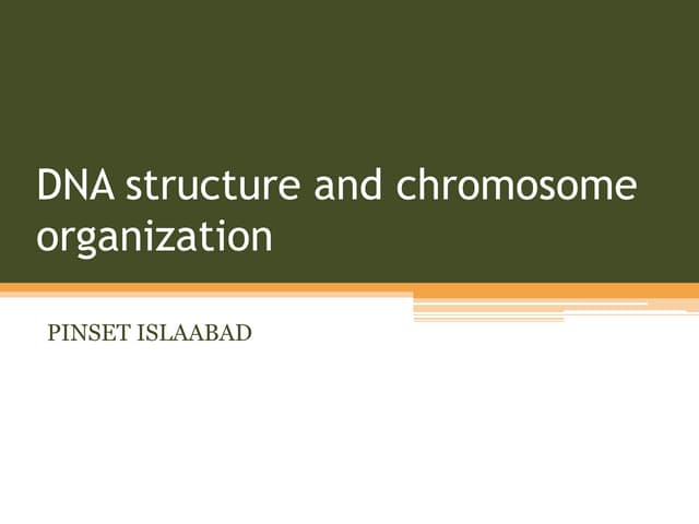 DNA structure and chromosome organization 