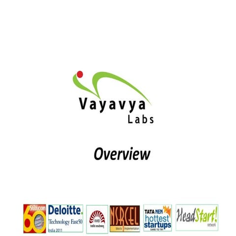 Vayavya labs overview