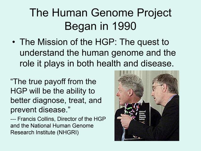 HGP.ppt