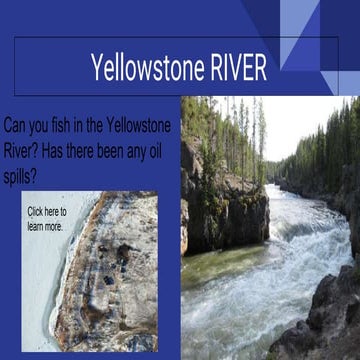 Harrison's Yellowstone River