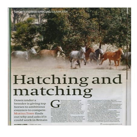 H&h compressed article