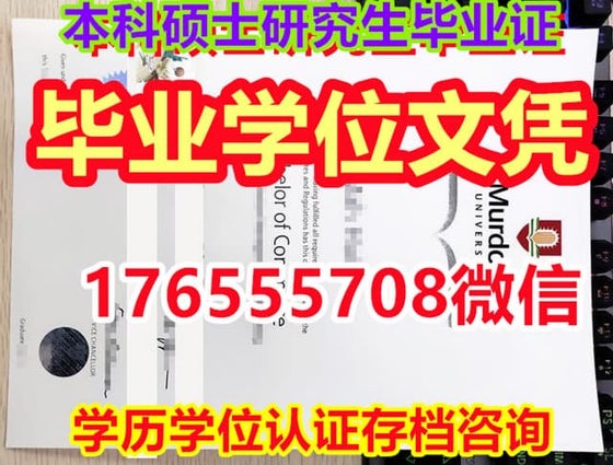 毕业证书认证,南伊利诺伊大学毕业证成绩单,国外文凭