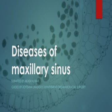 space infection of maxillary sinus chronic and acute