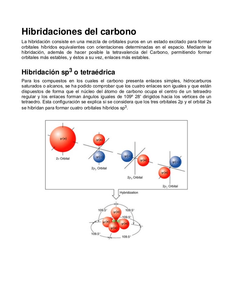 Sobre Hibridacion Printable Templates Free