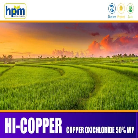 Hicopper Prsesntation