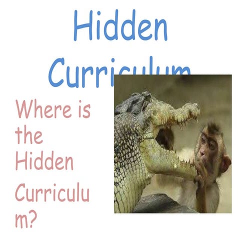 Hidden cuirriculum