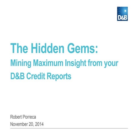 The Hidden Gems: Optimizing your DNB Credit Reports