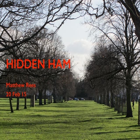 Hidden Ham