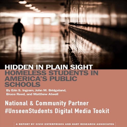 Hidden In Plain Sight Partner and Community Digital Toolkit