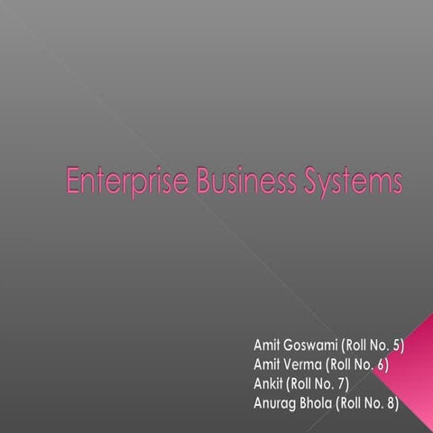 Enterprise business systems1