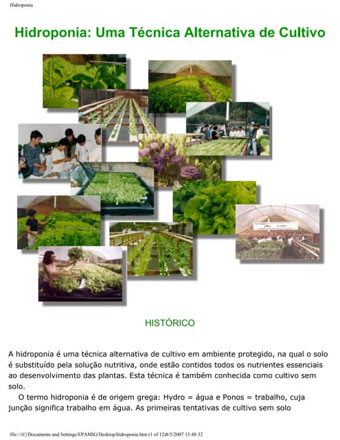 Hidroponia(1)