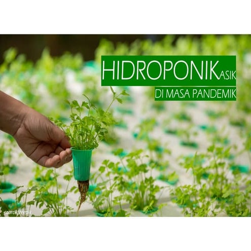 Hidroponik-Asik-di-Masa-Pandemik-Riza-S.-N.pdf