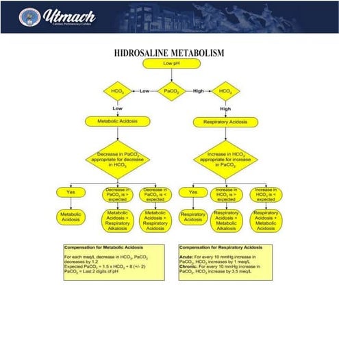 Hidrosaline metabolism algorithm | DOCX