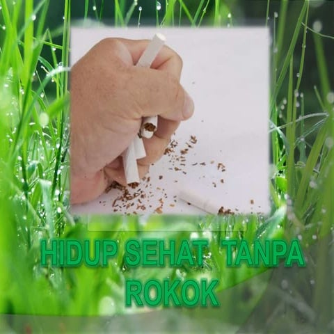 Hidup sehat  tanpa rokok