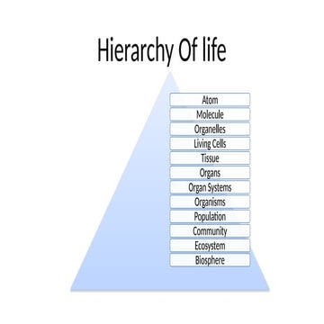 Presentation- Hierarchy of Life - Atom - Biosphere