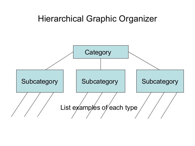 Hierarchical graphic organizer