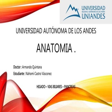 Higado  - Pancreas- Vias biliares .