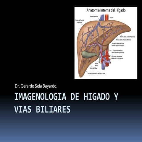 Higado  y vb 2015 1